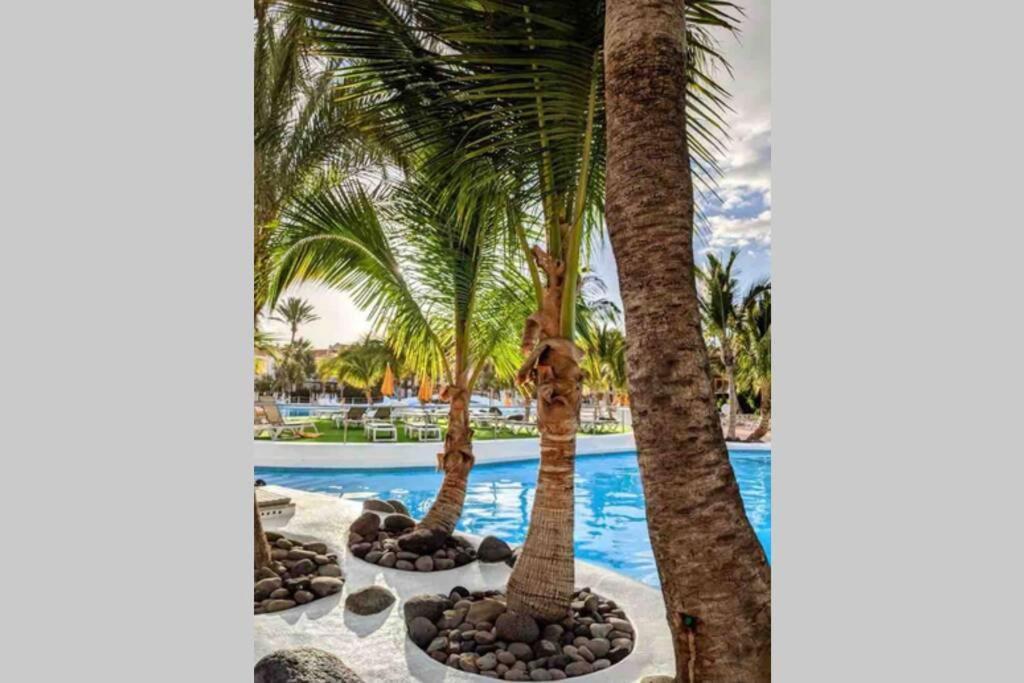 Апартаменты Apartamento Frente Al Mar! Плая-де-лас-Америкас Экстерьер фото